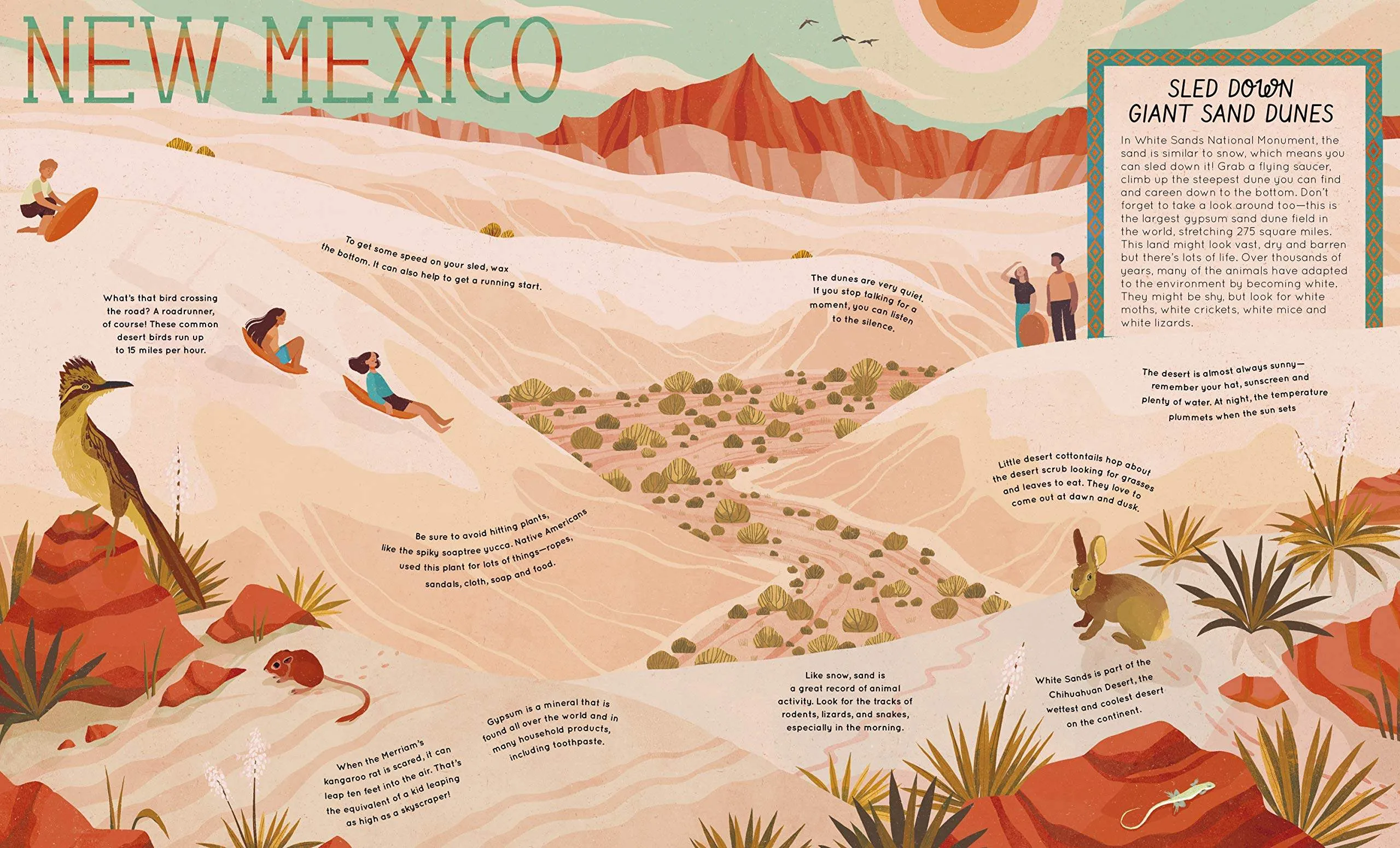 50 Adventures in the 50 States