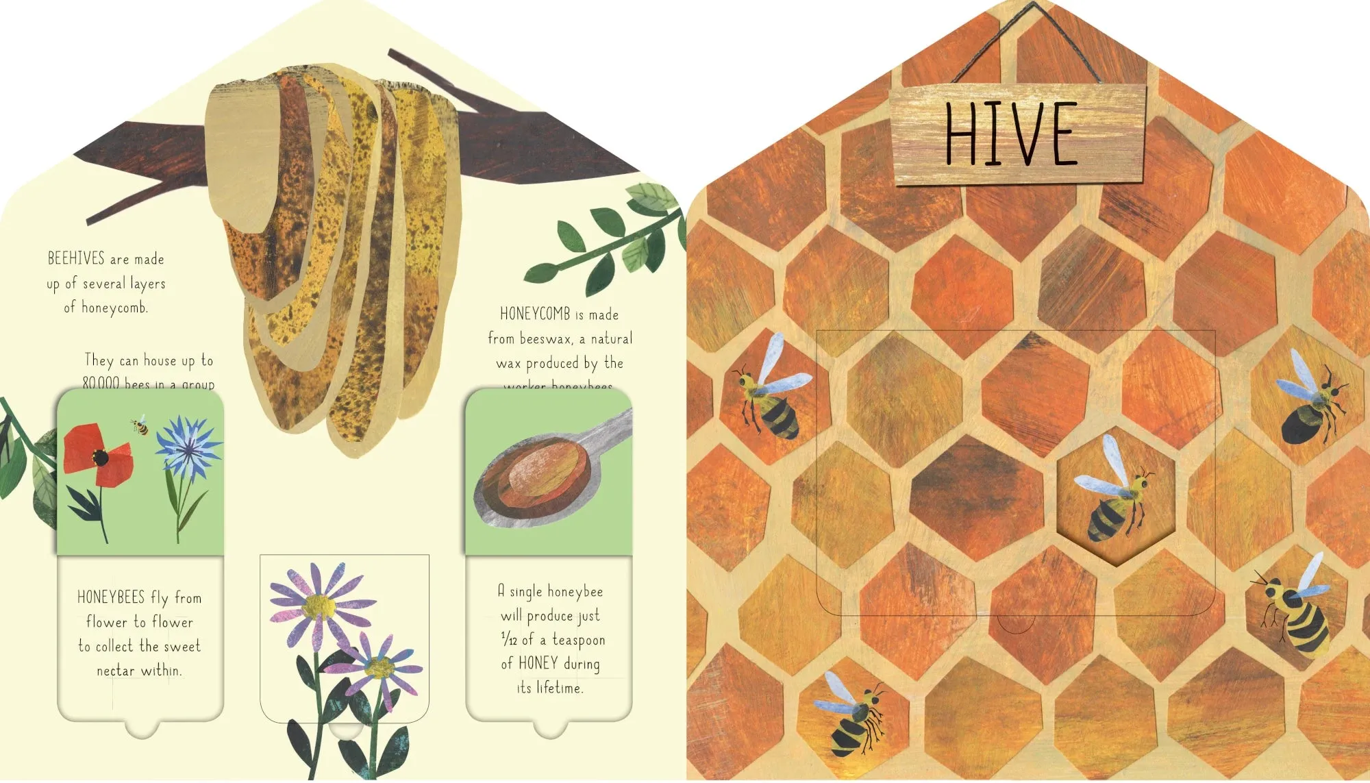 Animal Homes | Kids Book