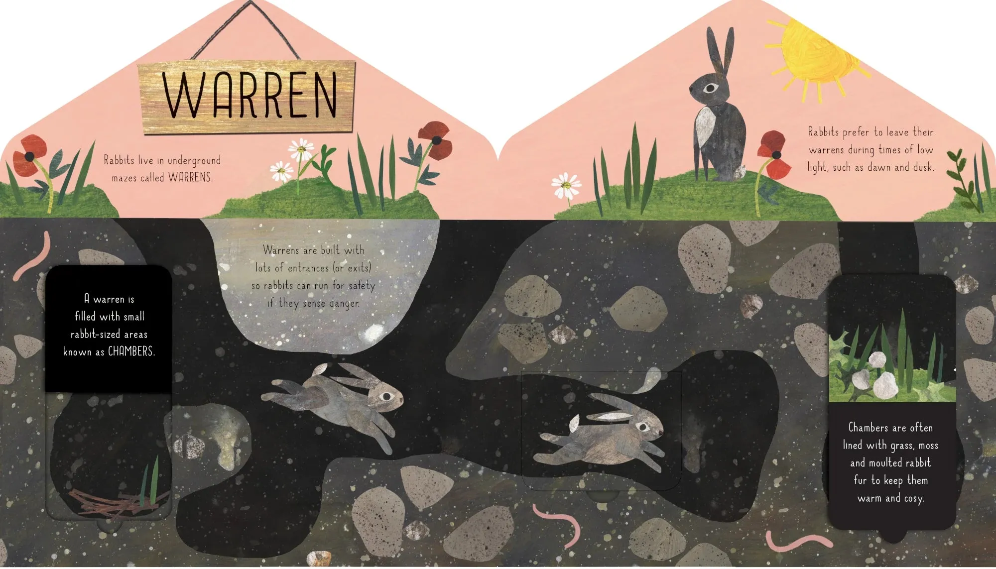 Animal Homes | Kids Book
