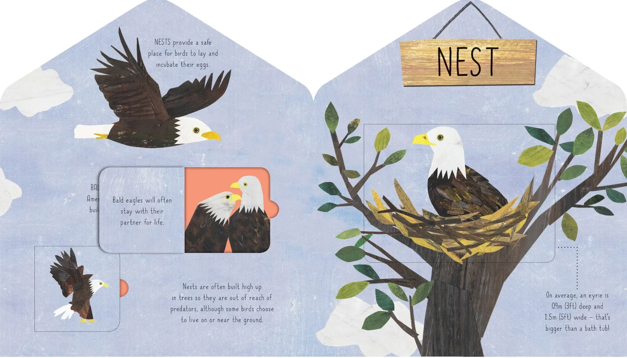 Animal Homes | Kids Book