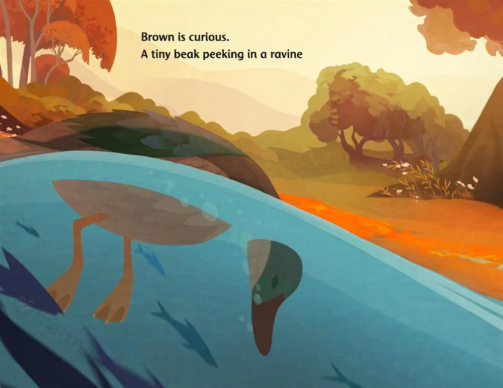Brown Is Beautiful