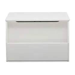 Classic Toy Box with Book Storage
