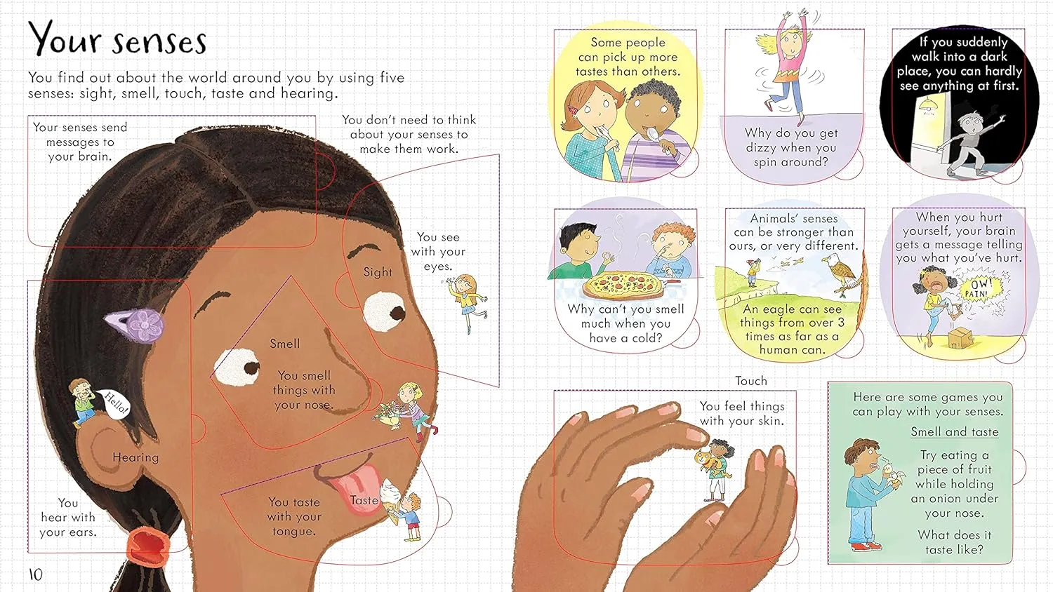 Look Inside Your Body Board Book