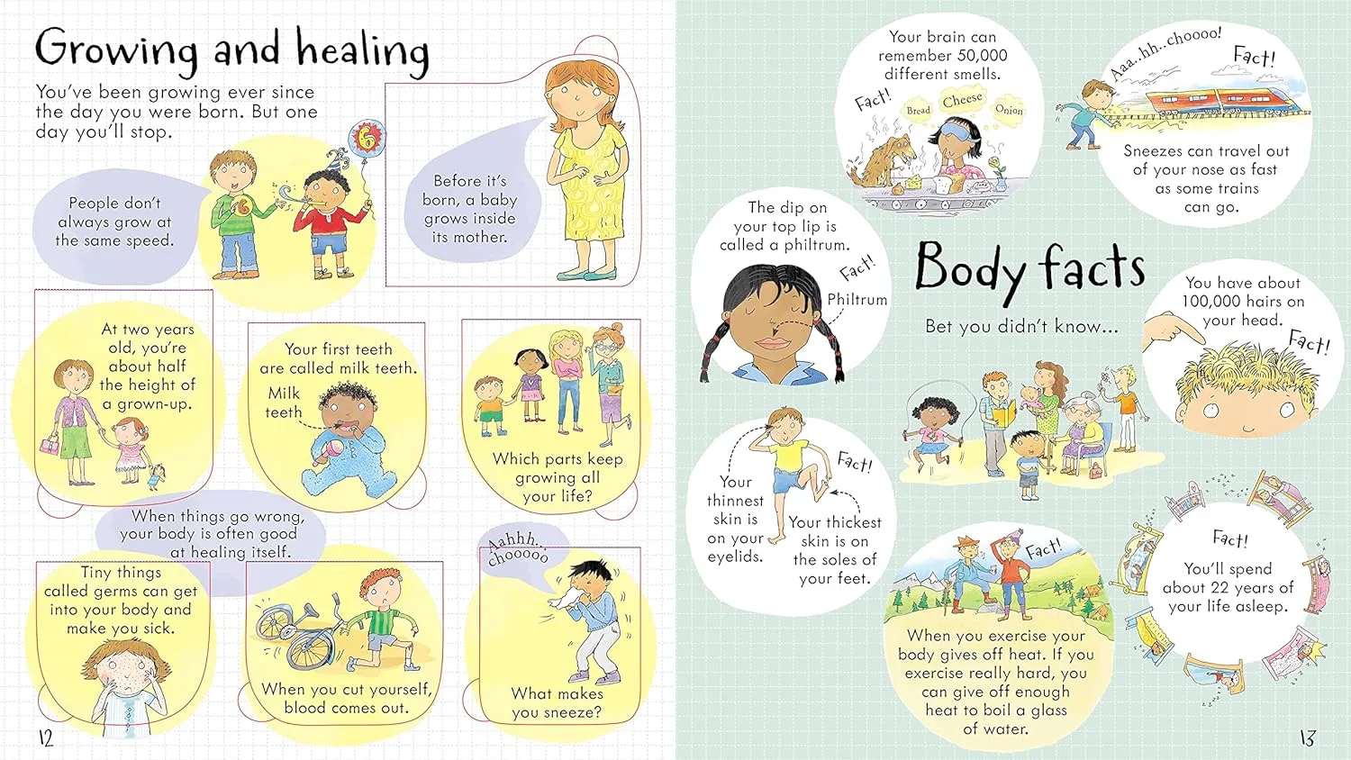 Look Inside Your Body Board Book