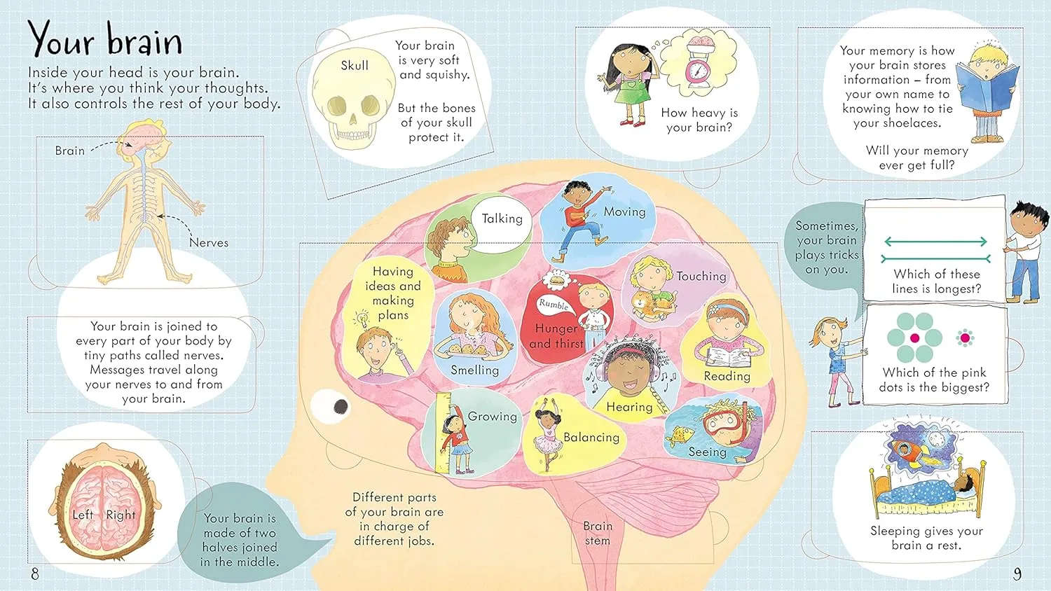 Look Inside Your Body Board Book