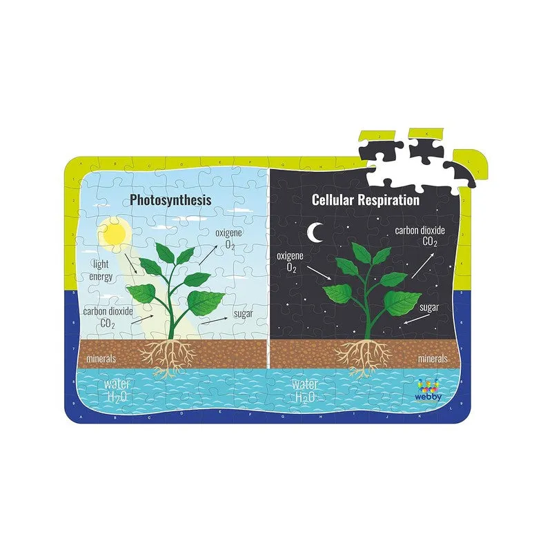 Photosynthesis & Respiration Wooden Jigsaw Puzzle, 108 Pieces