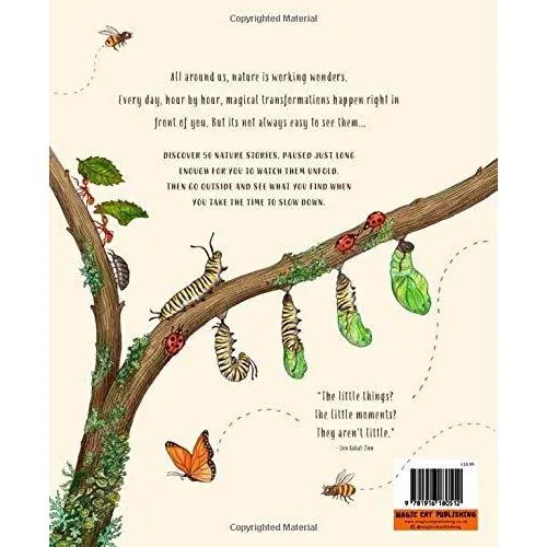 Slow Down: Bring Calm to a Busy World with 50 Nature Stories - Rachel Williams & Freya Hartas