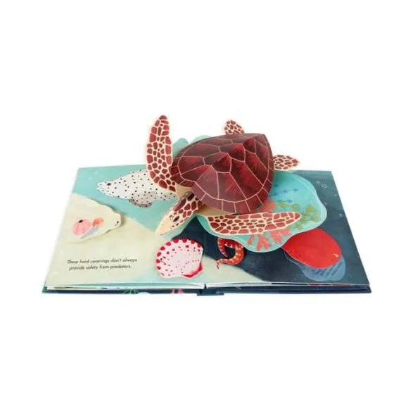Up with Paper Pop Up Book - Shells