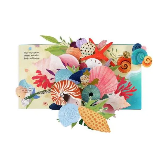 Up with Paper Pop Up Book - Shells