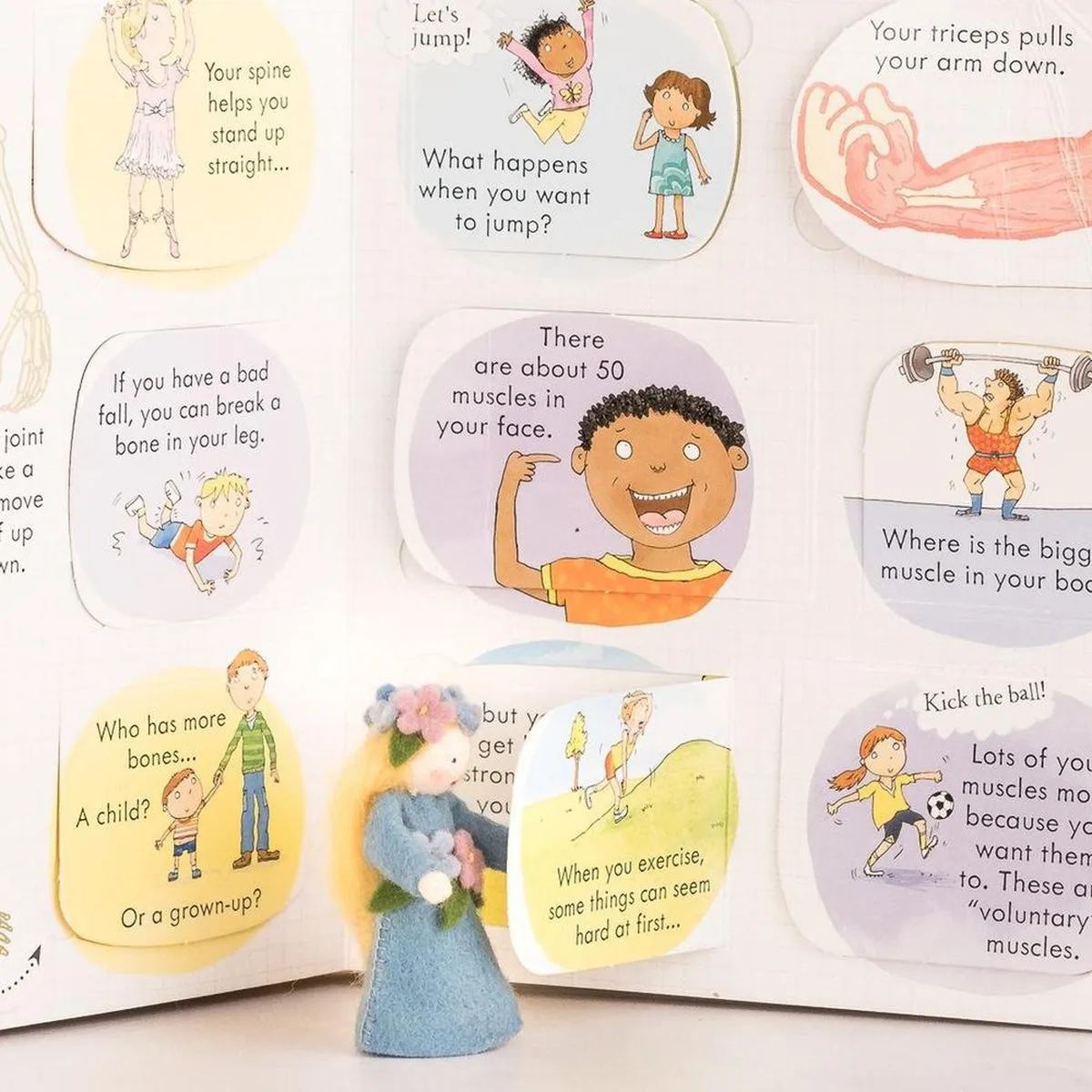 Usborne look inside your body