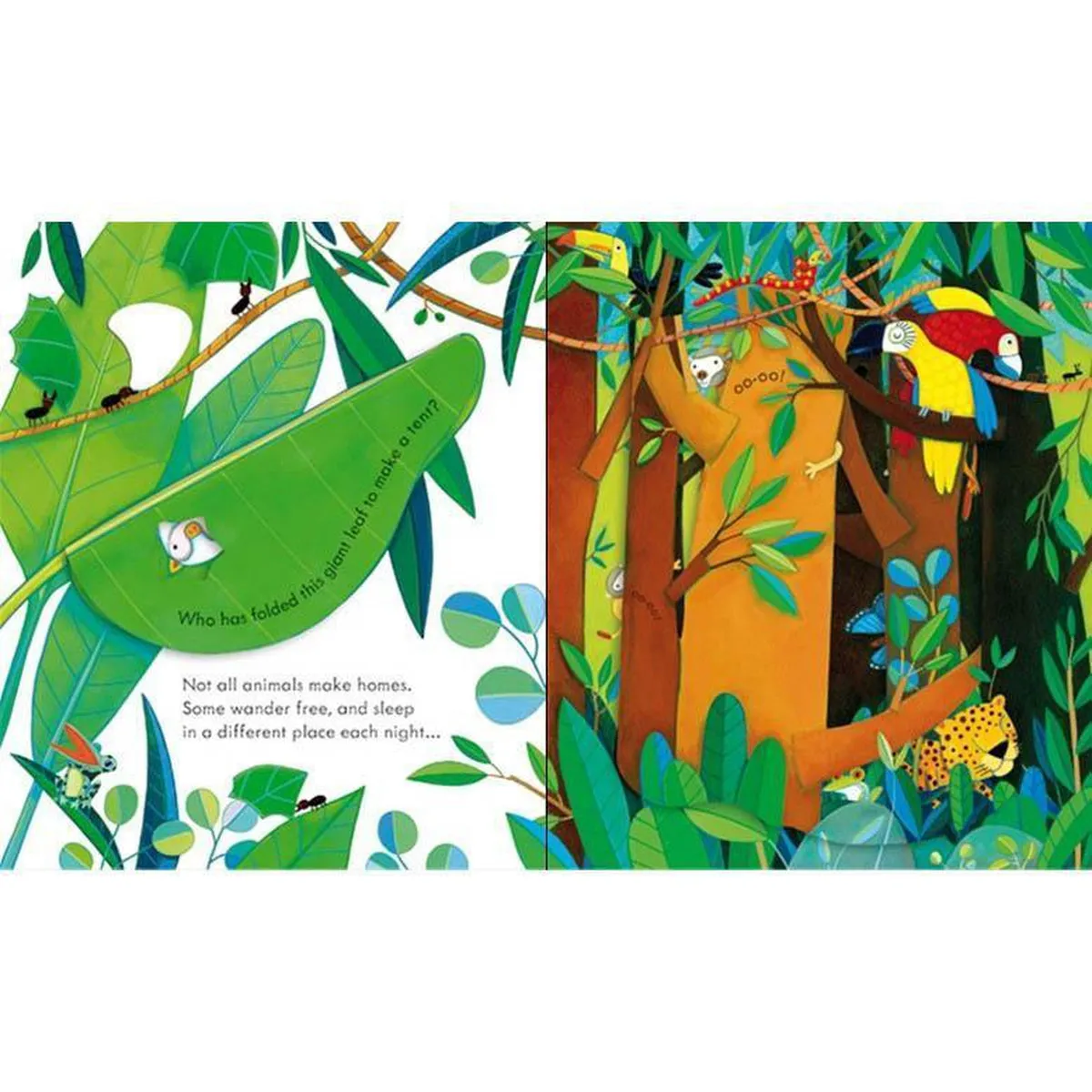 Usborne peep inside animal homes