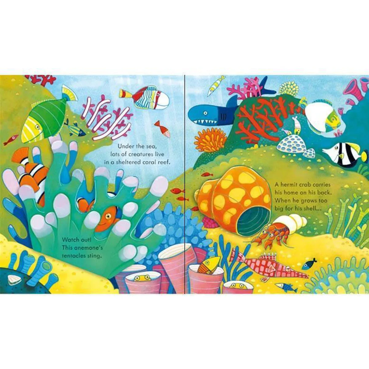 Usborne peep inside animal homes